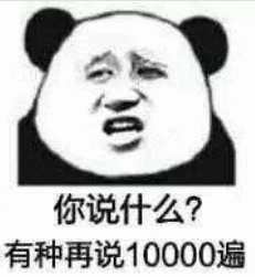 暴漫 文字表情包 你说什么 有种再说10000遍 搞笑 逗 沙雕