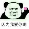 熊猫人 斗图 因为我爱你啊