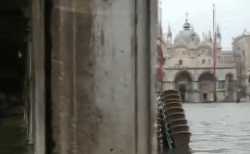 威尼斯 洪水 国际新闻