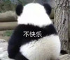 萌宠 熊猫 不快乐 无奈 呆萌 可爱