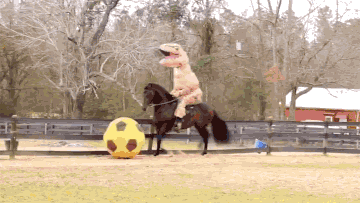 骑马 玩球 小碎步 搞笑