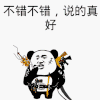 不错不错 说的真好 可爱 熊猫人