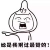 恶搞 逗比 二货 她是我用过最赞的