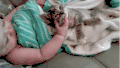 萌娃 猫咪 抚摸 两个萌物 好可爱