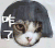 猫咪 咋了