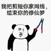 修仙梦 搞笑 斗图 滑稽