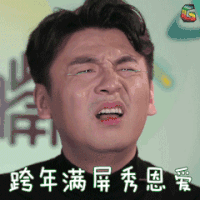 雷佳音 跨年满屏秀恩爱 soogif soogif出品 元旦 2018元旦