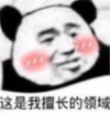 暴漫 文字表情包 这是我擅长的领域 搞笑 逗 沙雕