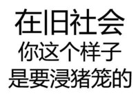 在旧社会 你这个样子 是要浸猪笼的 微信纯文字 第四波