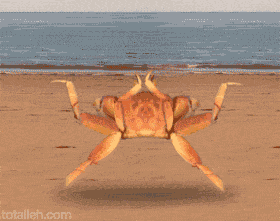 螃蟹 海边 沙滩