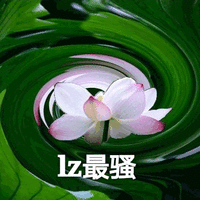 莲花 沙雕莲花 LZ最骚