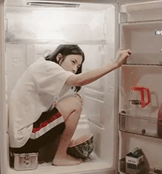 冰箱 关门 凉快 眼神