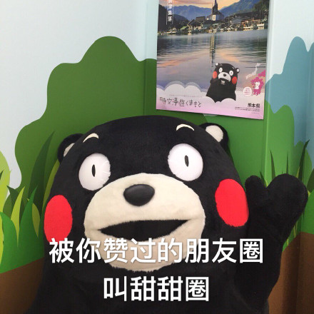 熊本熊 土味情话 朋友圈 甜甜圈 撩