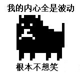 黑色 恶搞 狗 我的内心全是波动根本不想笑
