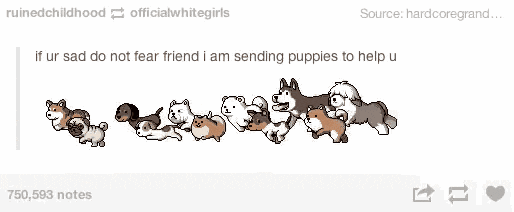 sending puppies no fear help