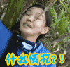 什么情况 转头 草地