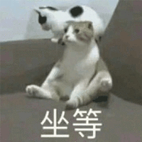 猫咪 坐等 搞怪 逗