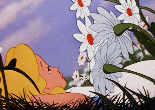 躺 微风 舒服 白雪公主 花朵 草地