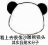 熊猫头 暴漫 看上去很像沙雕熊猫头其实我是水分子 搞笑 文字表情包 逗