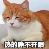 猫咪 眯眼 趴着 热的睁不开眼