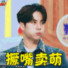 拜托了冰箱 王嘉尔 撅嘴卖萌 卖萌 soogif soogif出品