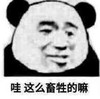 熊猫头 暴漫 哇这么畜生的嘛 搞笑 逗 沙雕 朋友圈评论表情