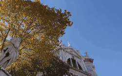 威尼斯 意大利 教堂 纪录片 蓝天