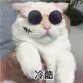 萌宠 猫咪 喵星人 冷酷 搞怪