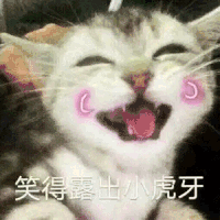 萌宠 喵星人 笑的露出小虎牙 开心 搞怪 呆萌