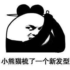 熊猫头 新发型 小熊猫
