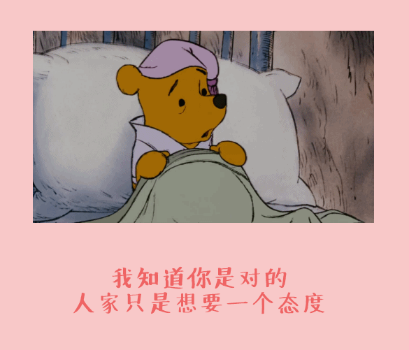 动漫 二次元 小熊 态度