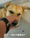 好了 二狗你不要再说了 狗狗 搞笑