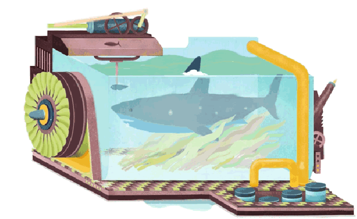 鲨鱼 鱼缸 插画 二次元