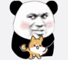 魔性 搞笑 沙雕 动态图 熊猫头