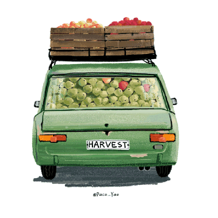 汽车 水果 食物 运输