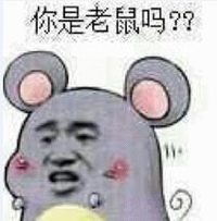 老鼠 搞笑 猥琐 暴漫