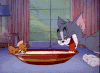 猫和老鼠 tom and jerry