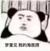 暴漫 文字表情包 梦里见我的海底捞 搞怪 逗 魔性