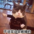 猫咪 喵星人 不说实话 会被捕的 斗图 搞笑 可爱 萌萌哒