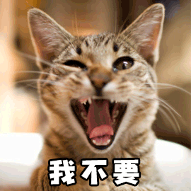 我不要 猫 拒绝