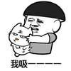 斗图 锅盖头 我吸 猫