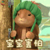彼得兔 本杰明 宝宝害怕 soogif soogif出品