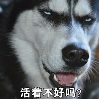 哈士奇 搞笑 二哈 魔性 文字表情包