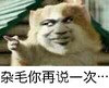 金馆长 装逼 搞怪 杂毛你再说一次