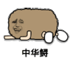金馆长 就不起来 好无助 中华鲟