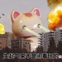 Kitty猫 可爱 眼睛 生起气来不是闹着玩的