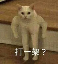 猫咪 喵星人 打一架 斗图 搞笑 可爱