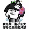 你身边最美的风景 金馆长 花朵 绿叶 翅膀