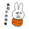 表情包 馆长 金馆长 不关我的事