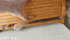 猫咪 躲猫猫 玩耍 藏起来